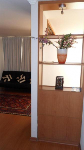 Гостиница Barrio Lastarria, Departamento 2 ambientes  Сантьяго